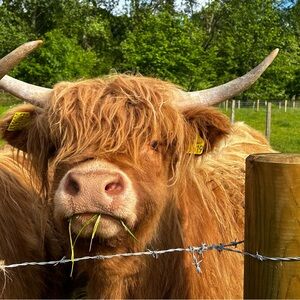 Meet your Posher, Krista